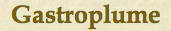 gastroplume.png